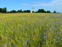 Бородинский военно-исторический музей-заповедник