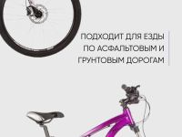 Женский велосипед Stinger Vega Evo 29, год 2021, цвет Фиолетовый, ростовка 19