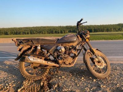 В Якутии пьяный мотоциклист насмерть сбил теленка. Водитель и пассажир госпитализированы