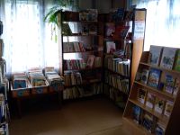 Нечаевская сельская библиотека