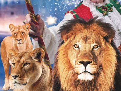 Цирк Vivat: Шоу Королевство львов