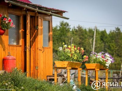 На Дальнем Востоке спрос на озеленение и подготовку почвы вырос в 3,3 раза