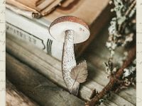 Деревянная брошка Дворникова А. "Подосиновик с листиком"