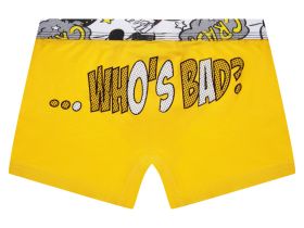 Трусы-боксеры для мальчика , 2 шт. в комплекте