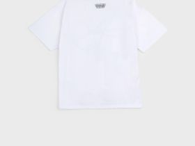 Фуфайка трикотажная для мальчиков (футболка)