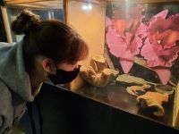 Выставочный зал Дворца культуры и искусства г. Ленинск-Кузнецкий