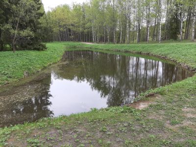 Пруд Ботанический