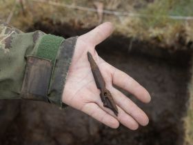 Подведены итоги морской арктической экспедиции в заповедник «Медвежьи острова»