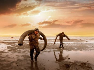 В Якутске пройдет бесплатный показ фильма об исследователях мамонтового мира