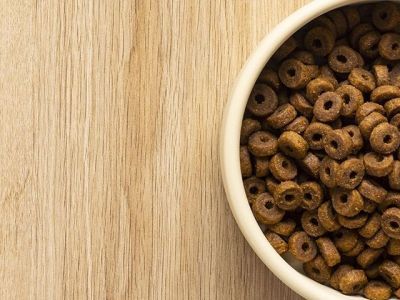 Россельхознадзор ввел запрет на ввоз корма для кошек и собак