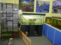 Экологическая библиотека г. Мончегорска