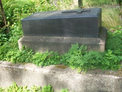 Могила Долбни И.П. (1853-1912), математика