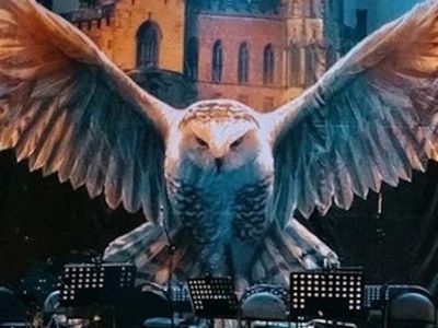 Harry Potter. Magic Music