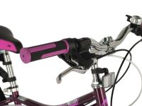 Детский велосипед Novatrack Alice Disc 20, год 2021, цвет Розовый