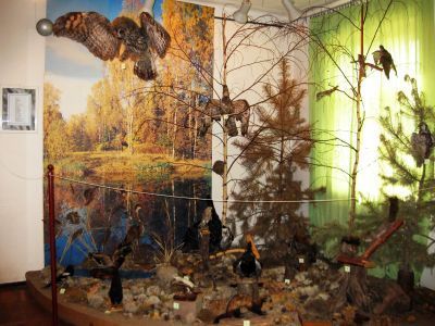 Подпорожский краеведческий музей