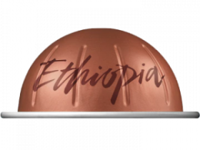 Кофе бленд Master Origins Ethiopia (150 ml)