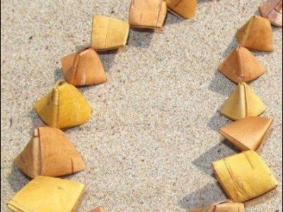 Удивительная береста: Программа