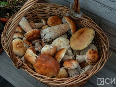 Врач-терапевт рассказала об отрицательном влиянии грибов на детское здоровье