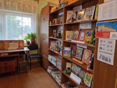 Библиотека № 36 п. Новопушкинское