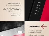 Наклонная вытяжка Hansa OKP6221SH