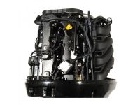 4х-тактный лодочный мотор GOLFSTREAM F100FEL-T EFI