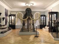 Губернский музей г. Тобольска