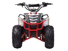 Квадроцикл WELS Thunder Evo M детский