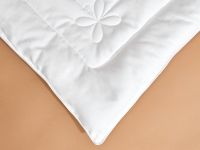 Одеяло Уютный шелк/Cozy Silk