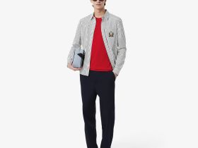 Мужская хлопковая футболка Lacoste с коротким рукавом