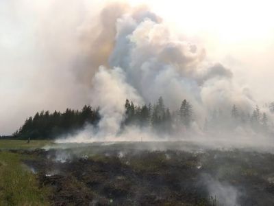 Природный пожар не угрожает селу Сайылык