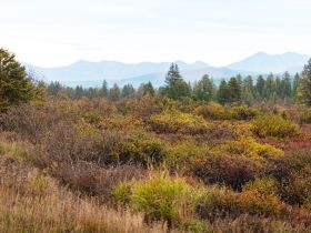 Автопутешествие «Якутск – Оймякон - Магадан» (Летний сезон)