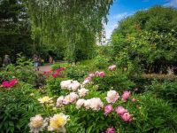 Парк «Роев ручей»