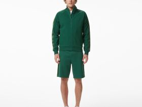 Мужская толстовка Lacoste