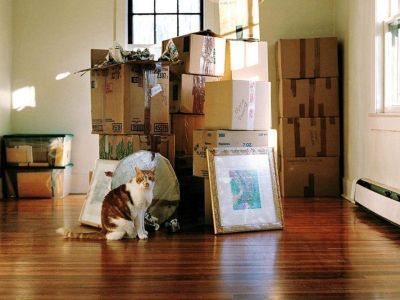 Работникам бюджета можно получить помощь на улучшение жилищных условий