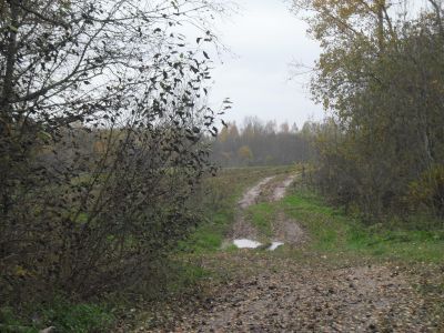 Памятное место, где базировался партизанский отряд «Грозный» под командованием Героя Советского Союза Ф.Ф. Озмителя, партизанского отряда Н. Талерки