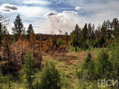 В Якутии введен режим ЧС федерального характера из-за лесных пожаров