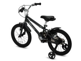 Детский велосипед Pifagor Line 16, год 2023, цвет Черный