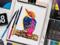 Набор карандашей цветных ACMELIAE "Blackwood Artmate" 24 цв, в картонном футляре