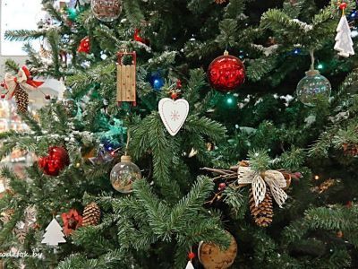 Минпред Якутии объявил фотоконкурс на самую лучшую елку республики