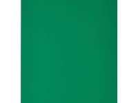 Пленка для макетирования ProMega лист А4 280 мкм, зеленый