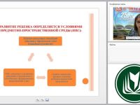 Развивающая предметно-пространственная среда в соответствии с ФГОС ДО: требования, контроль, оценка