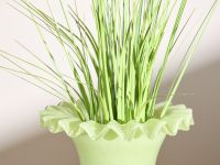 Ваза Лима/Lima