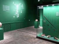 Энгельсский краеведческий музей