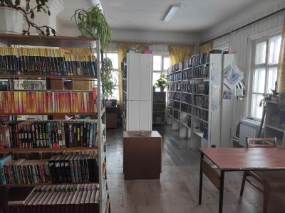 Библиотека № 6 д. Новый Завод