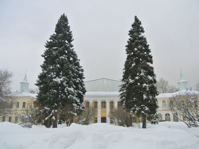 Дача Дмитриева-Мамонова