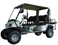Гольфкар EAGLE EG2040ASZR