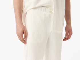 Мужские шорты Lacoste из хлопка