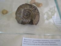 Музей экологии и охраны природы г. Набережные Челны