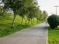 Ярыгинская набережная г. Красноярска