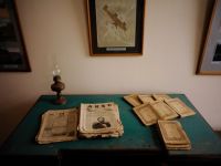 Музей «Дачная столица»